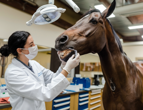Zonder klanten geen ondernemer